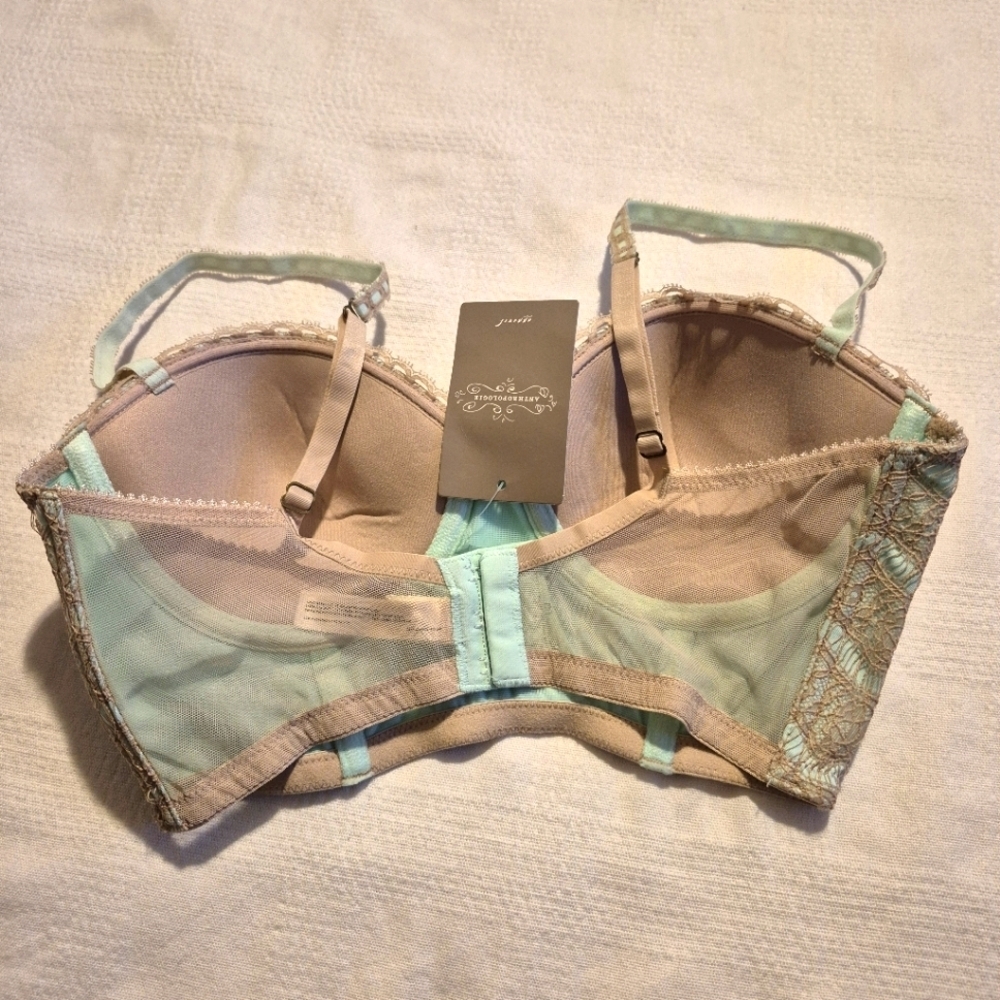 Anthropologie women's 34C turquoise with tan lace overlay underwire bra NWT - Picture 2 of 8
